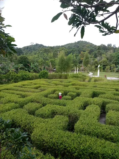 Gambar Kampung Sawah